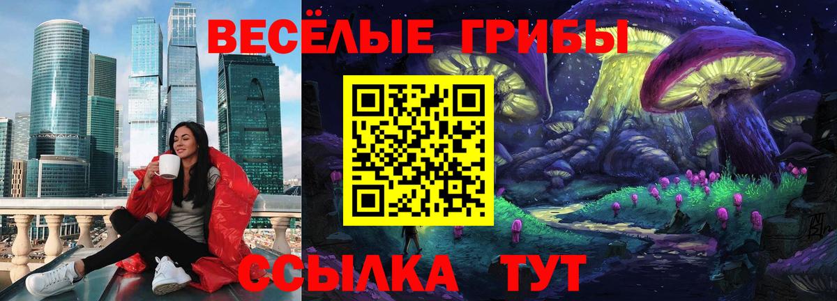 Железногорск  Псилоцибиновые грибы прущие грибы  Вход с VPN 