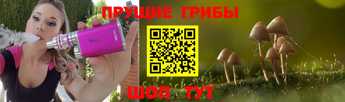 Псилоцибиновые грибы Cubensis Железногорск
